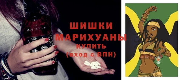 амф Мегион