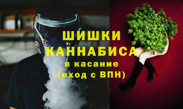 амф Мегион