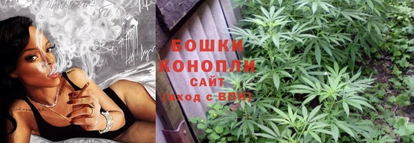 амф Мегион