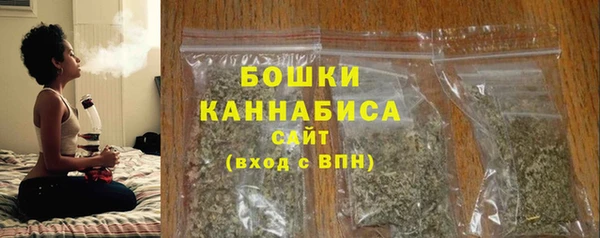 амф Мегион