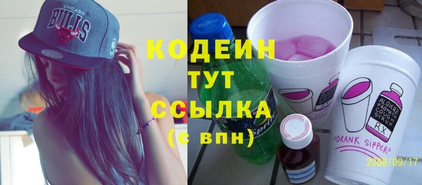 крисы Анжеро-Судженск