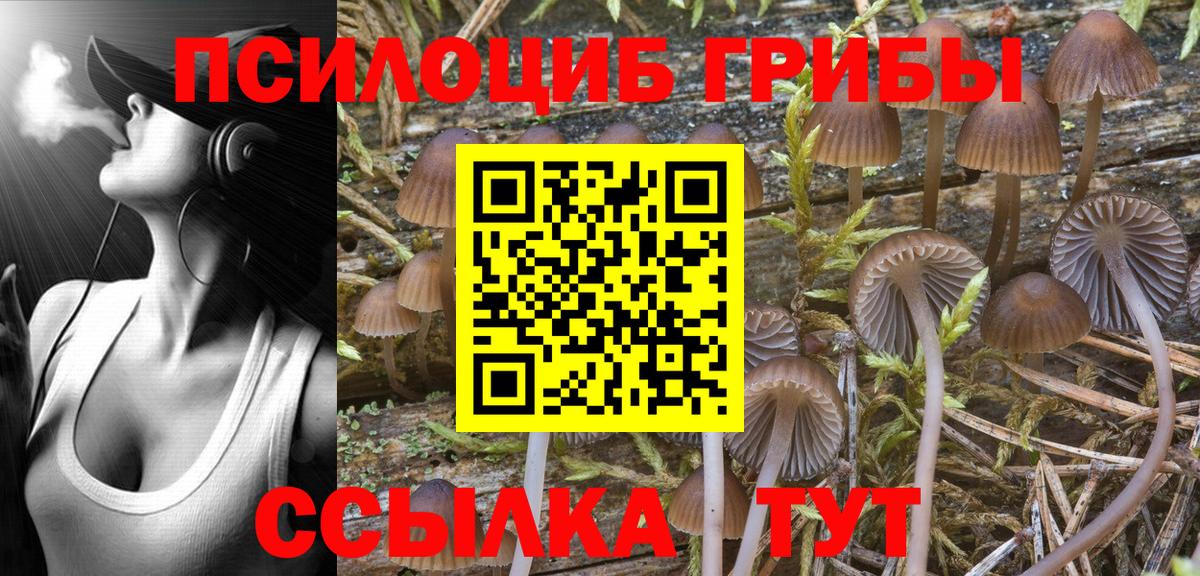 Псилоцибиновые грибы GOLDEN TEACHER Тамбов