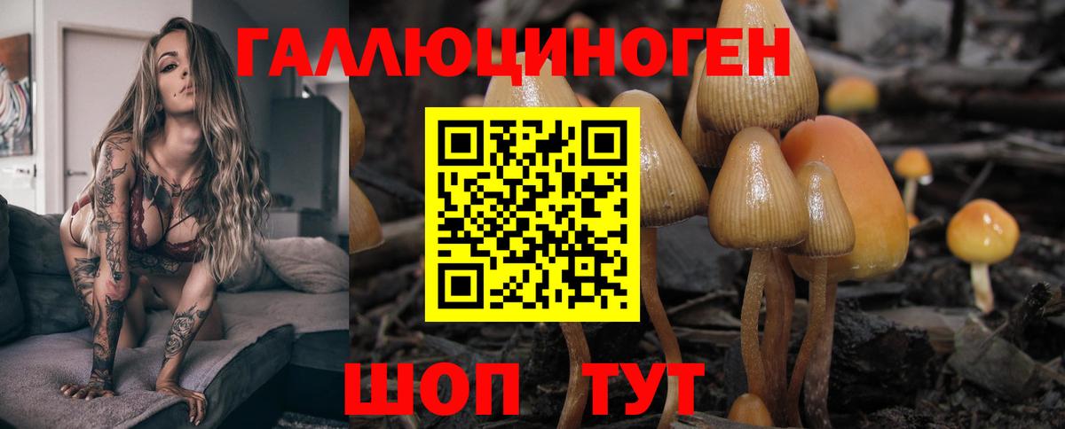 Галлюциногенные грибы мухоморы  Вход с VPN  Тамбов  Галлюциногенные грибы прущие грибы 